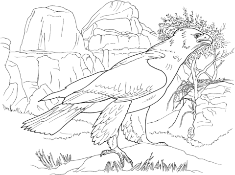 Realistic Golden Eagle Coloring Page